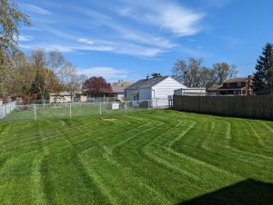diagonal cut lawn care